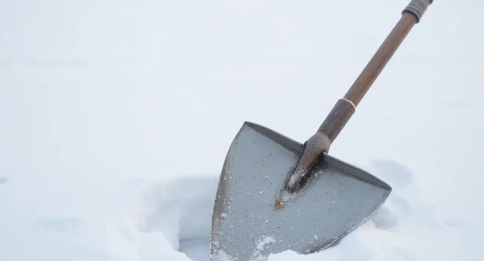    «Подмосковье сегодня»/Сгенерировано нейросетью