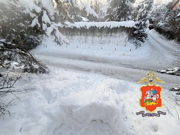     Фото: ГУ МВД России по Московской области