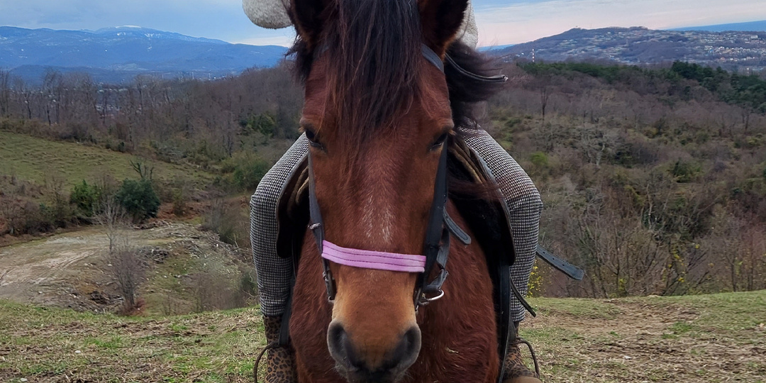 Четвертый день в Сочи 🏇