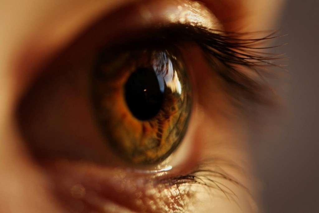    Фото © Unsplash.com