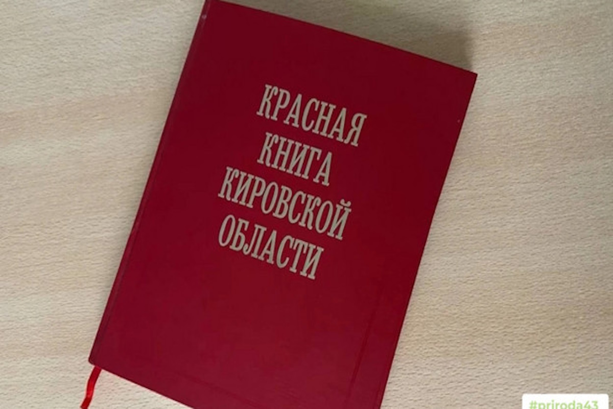    Фото: министерство охраны окружающей среды Кировской области, источник: kirov-portal.ru