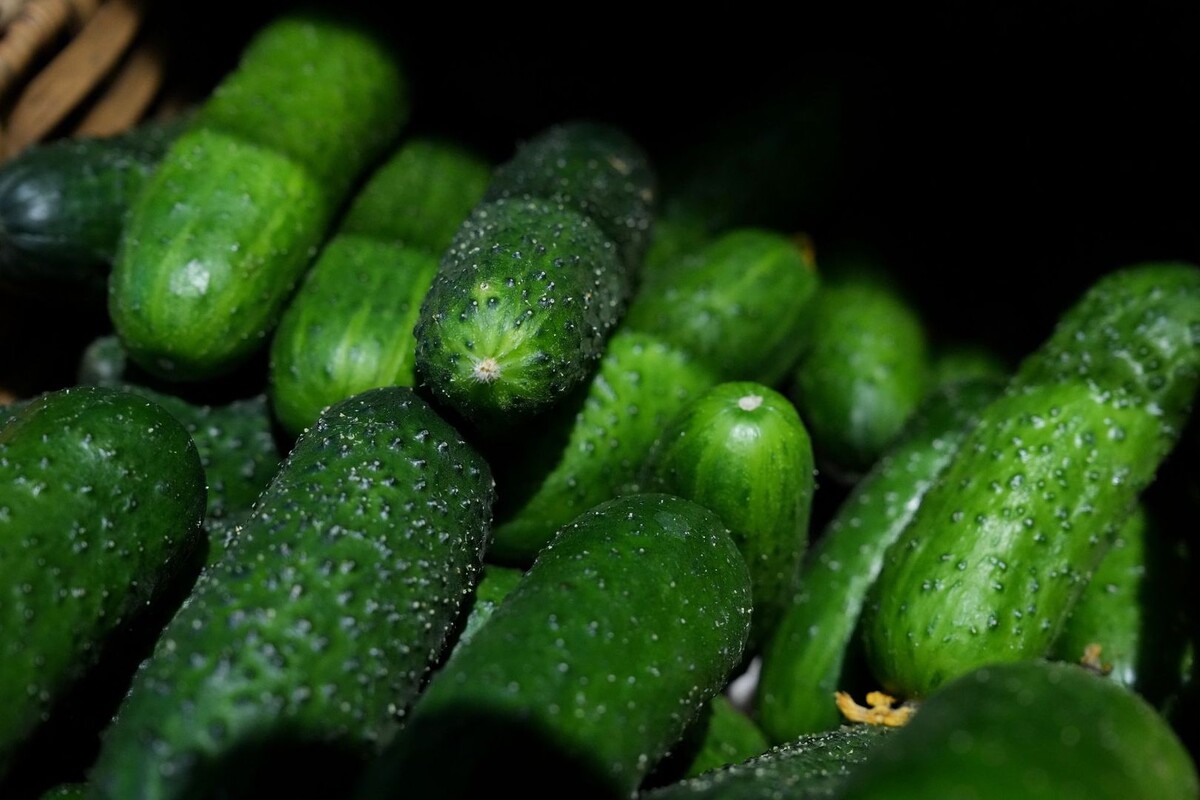     / Источник: © ИЗВЕСТИЯ/Дмитрий Коротаев