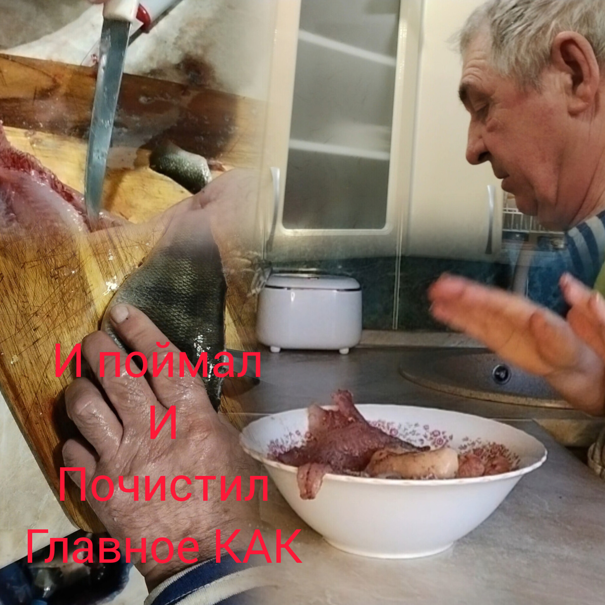 Фото автора. 