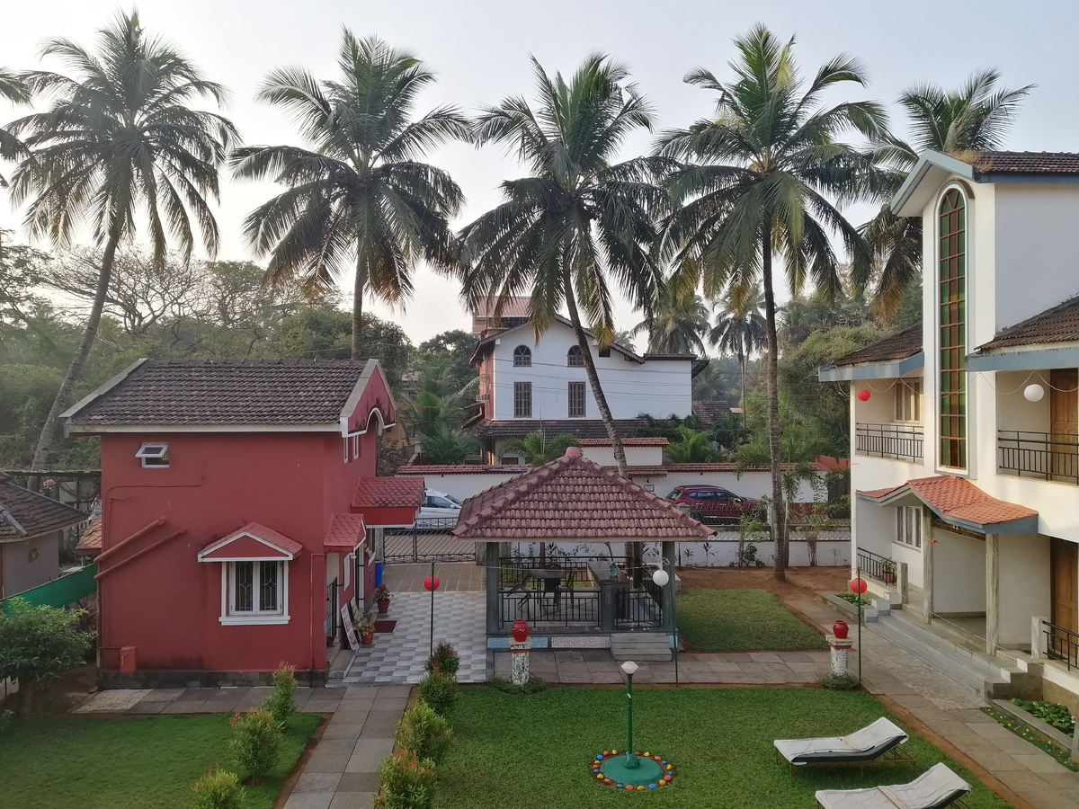 Территория отеля: вид с моего балкона (утром 26.01.2026)