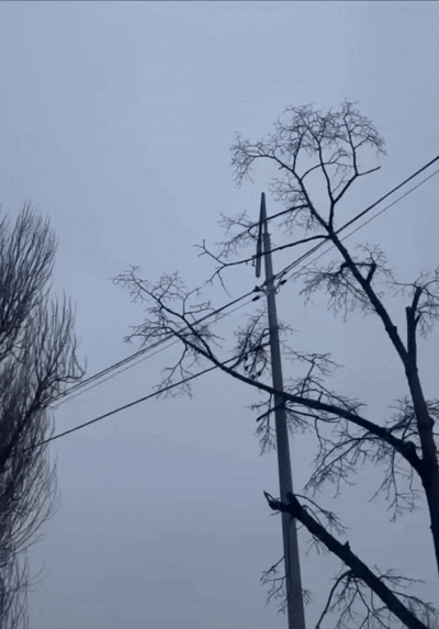    Видео: Telegram "Страна"