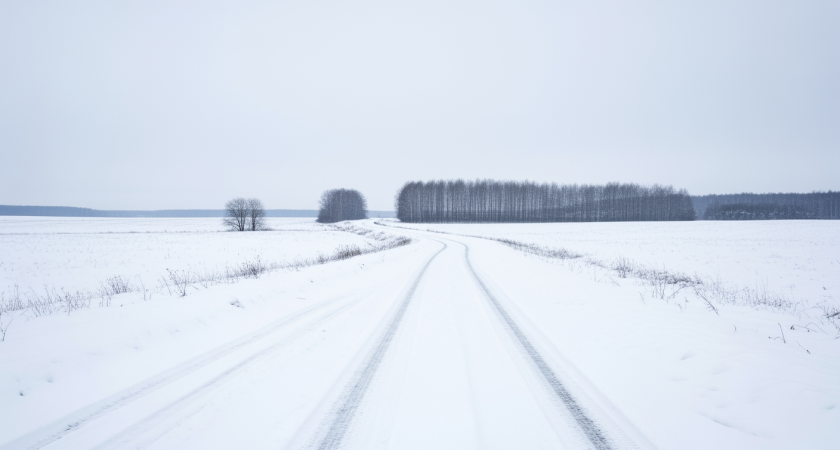    Фото ИИ youtvnews.ru