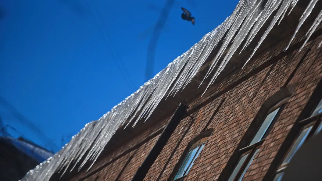    Фото: Олег Рукавицын/Царьград