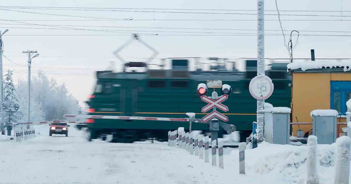    Фото из Телеграм канала Госавтоинспекции Рязанской области