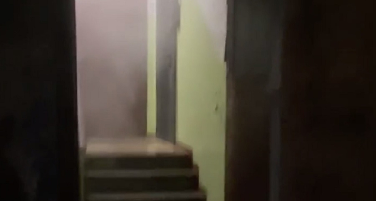    Народный фронт Ярославль