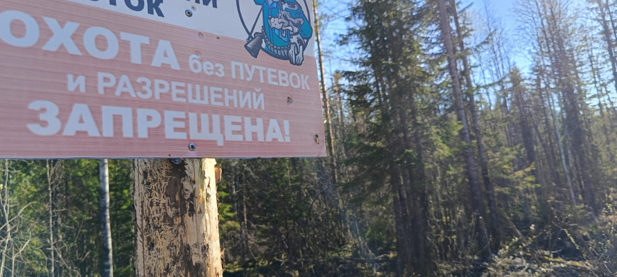    фото: © «Столица на Онего»