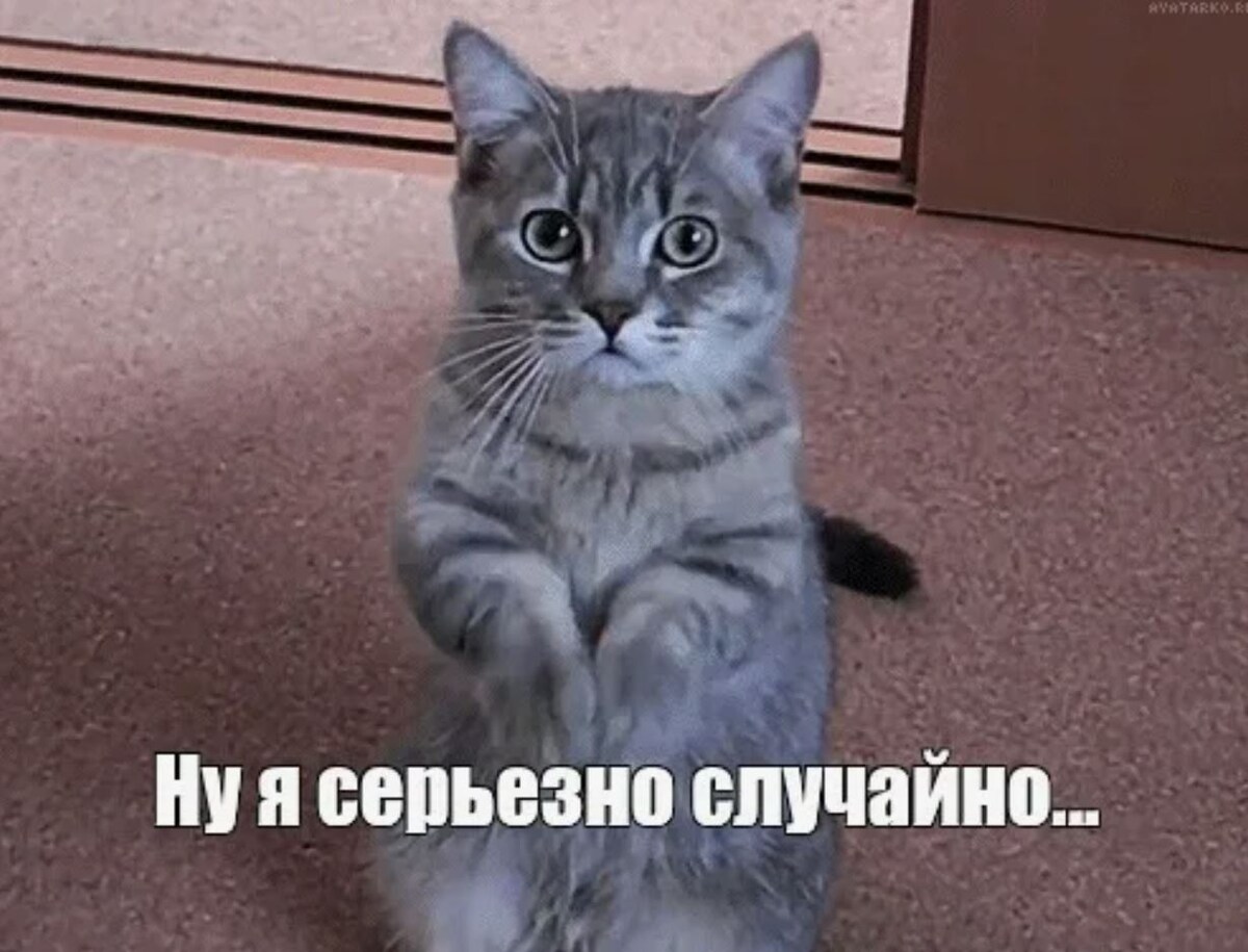 источник Яндекс-картинки