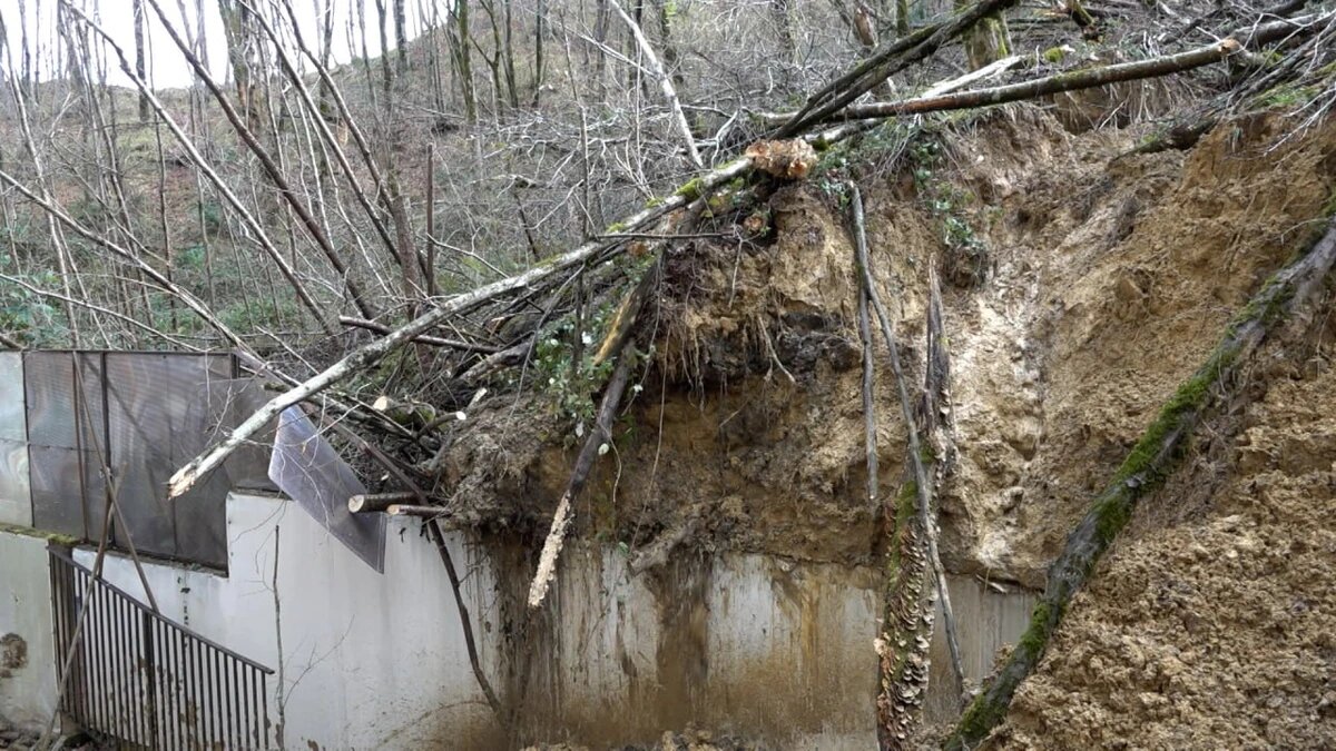   Скриншот видео телеканала «Кубань 24»