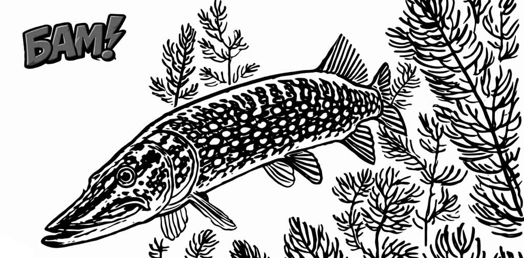 щука любит траву