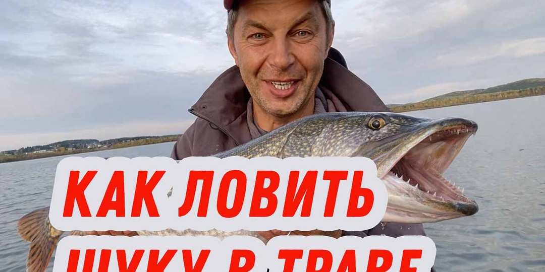 Секреты ловли щуки в траве. Рабочая схема и приманки