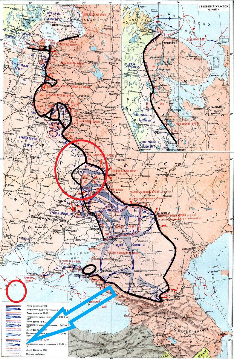 (Фото взято из открытых источников).