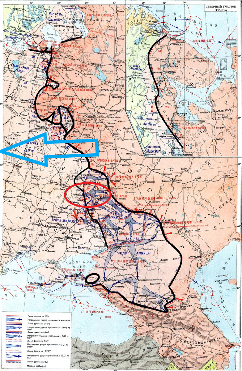 (Фото взято из открытых источников).