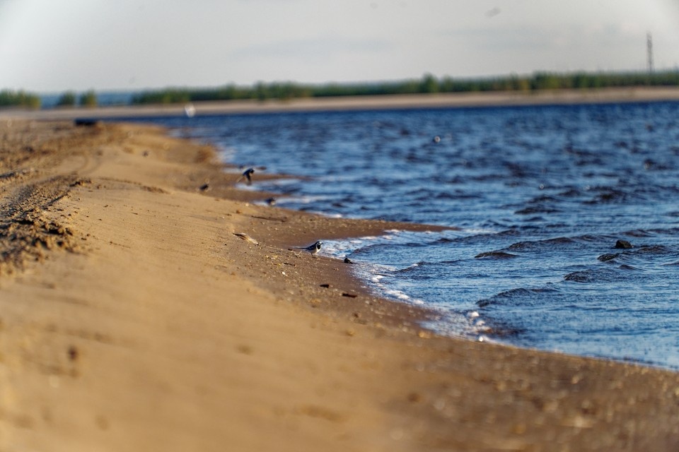   Иван МАКЕЕВ