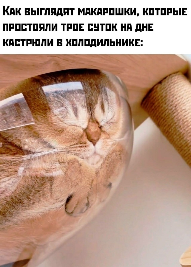 Смех из социальных сетей! Забавные шутки, забавные случаи и веселые рассказы. Фото взято из общедоступных ресурсов соцсетей.