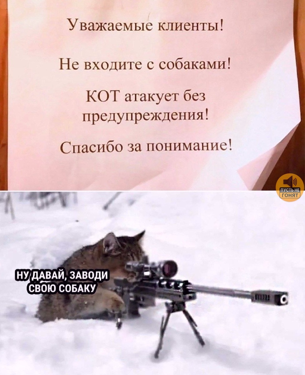 Смех из социальных сетей! Забавные шутки, забавные случаи и веселые рассказы. Фото взято из общедоступных ресурсов соцсетей.