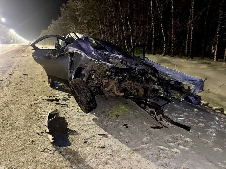     Фото Госавтоинспекции Рязанской области