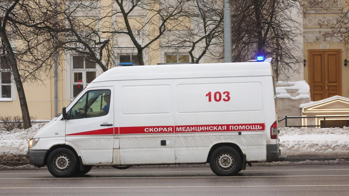    Фото: Shatokhina Natalia/news.ru