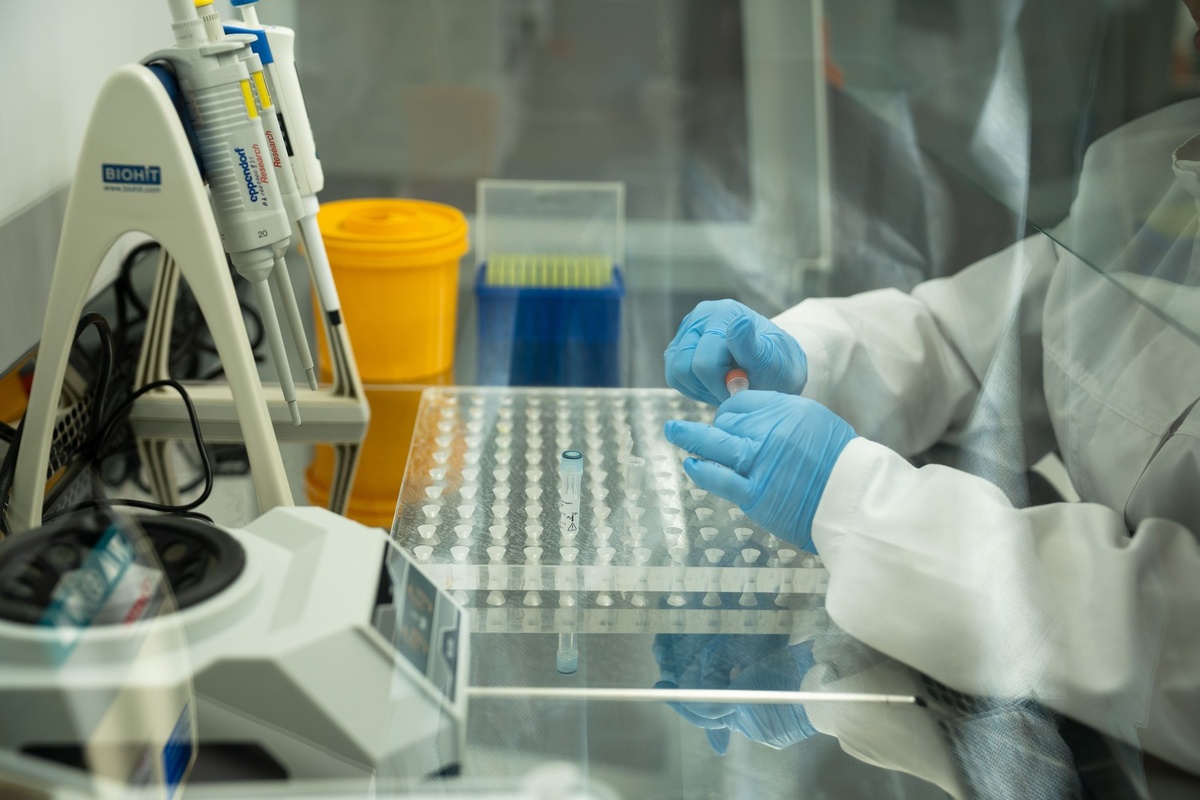 Первичное исследование выявило антитела к гриппу птиц у одной коровы в Нидерландах. Фото: Александр Плонский / «ВиЖ»