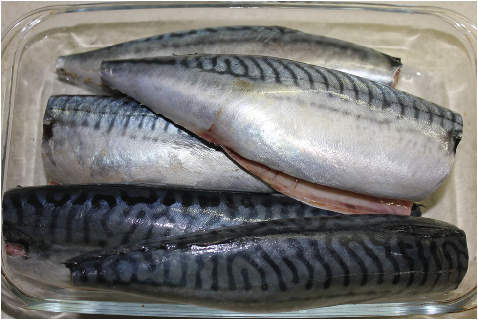 Личное фото автора.