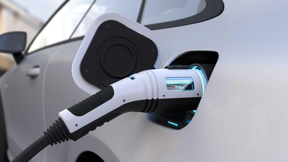    © user6702303/freepik.com