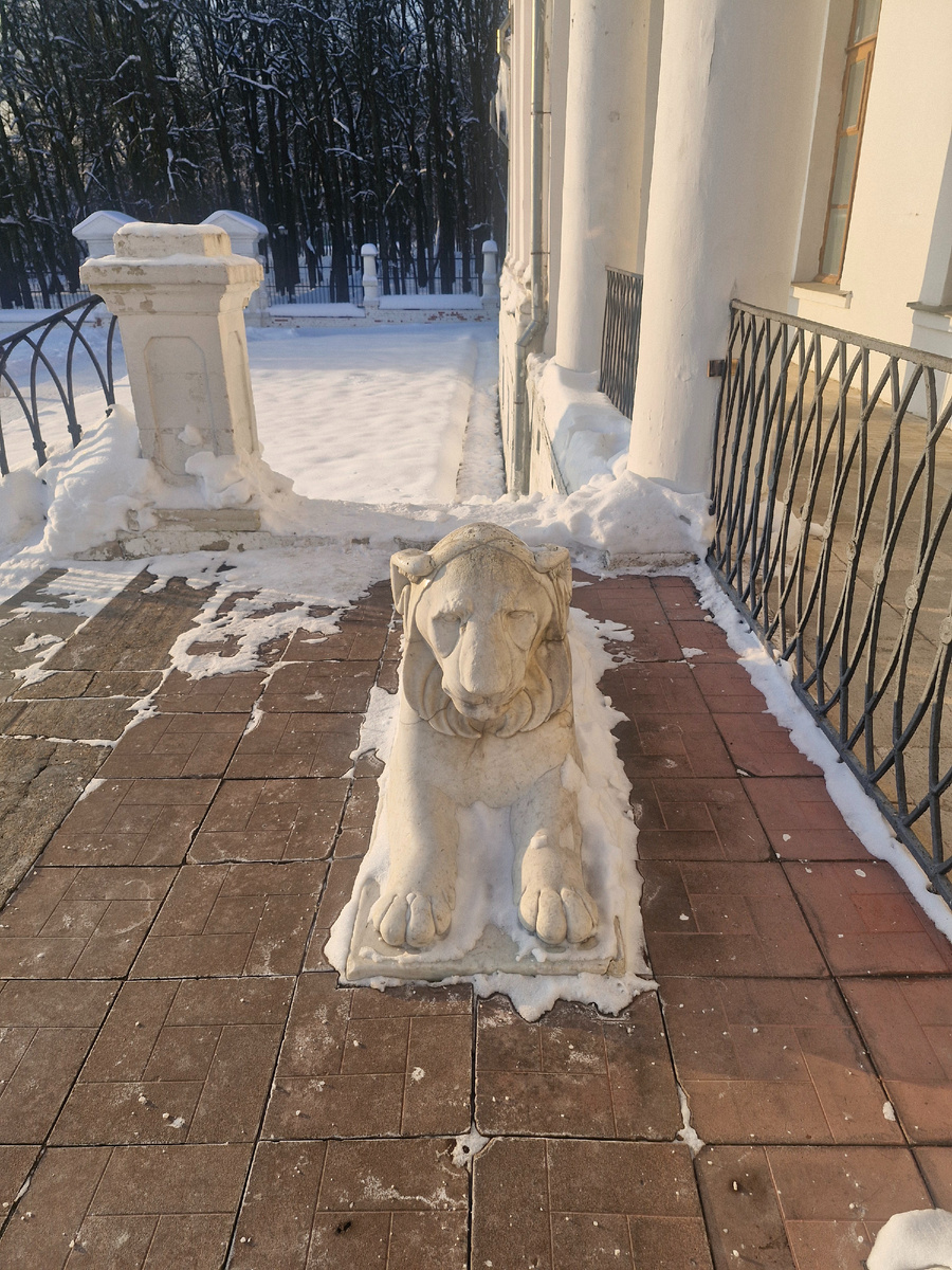 Фото автора.