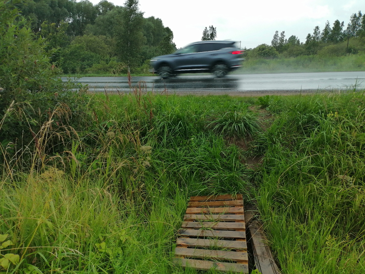 © Copyright: Максим Вячеславович Гуреев, фото 