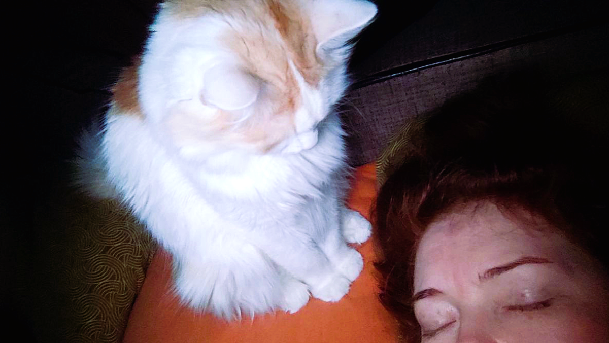 Нафаня всегда укладывается спать вместе с нами. Однажды муж проснулся среди ночи и сделал это фото...