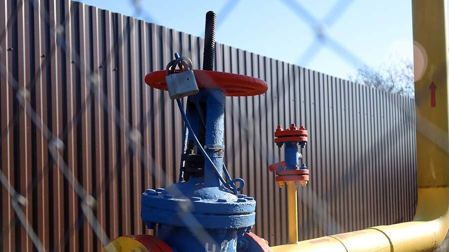    Фото: Global Look Press/Elena Mayorova