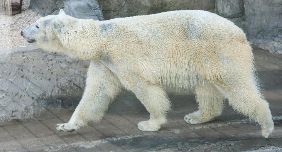    Belkin Alexey/news.ru / www.globallookpress.com