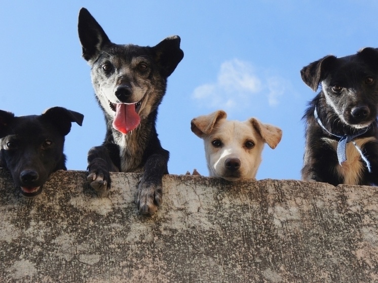     фото ВК "Верность"