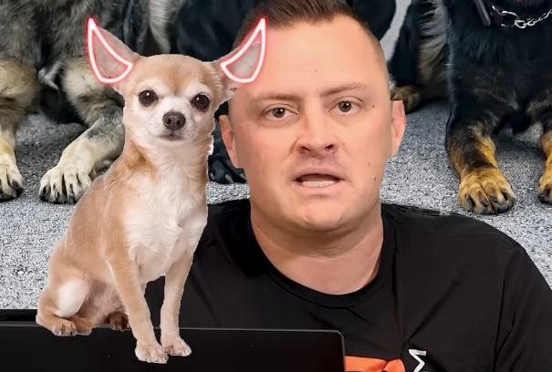 Американский кинолог Гаррет Уинг (American Standard K9/YouTube)