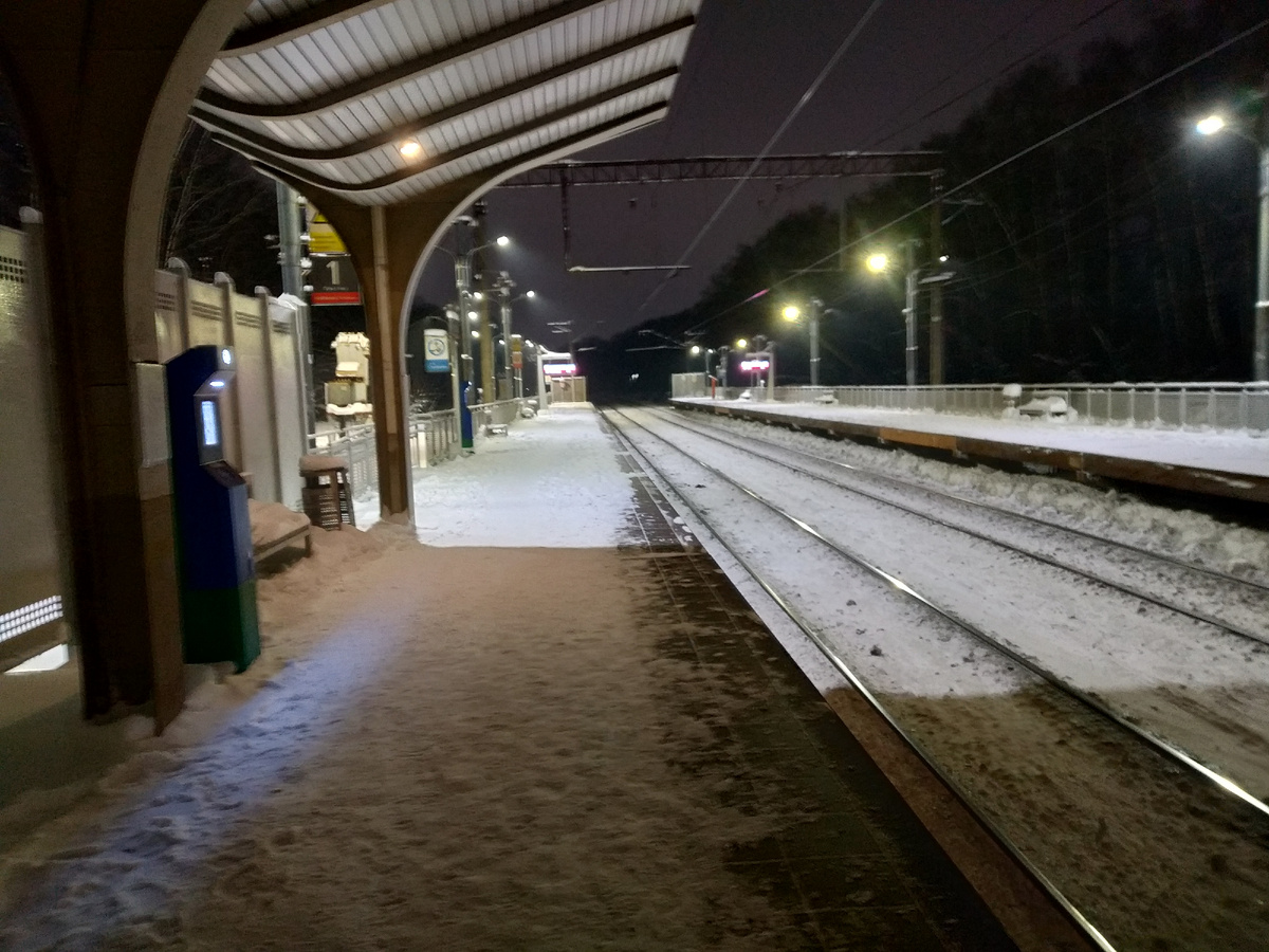 Пл. 55 км - Гжельские источники в январе 2026 года, фото автора