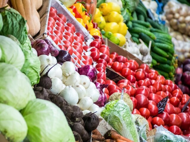    Фото: Москва 24/Игорь Иванко