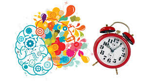 Почему мозг «отключает» знания сразу после обучения — и вы этого не замечаете