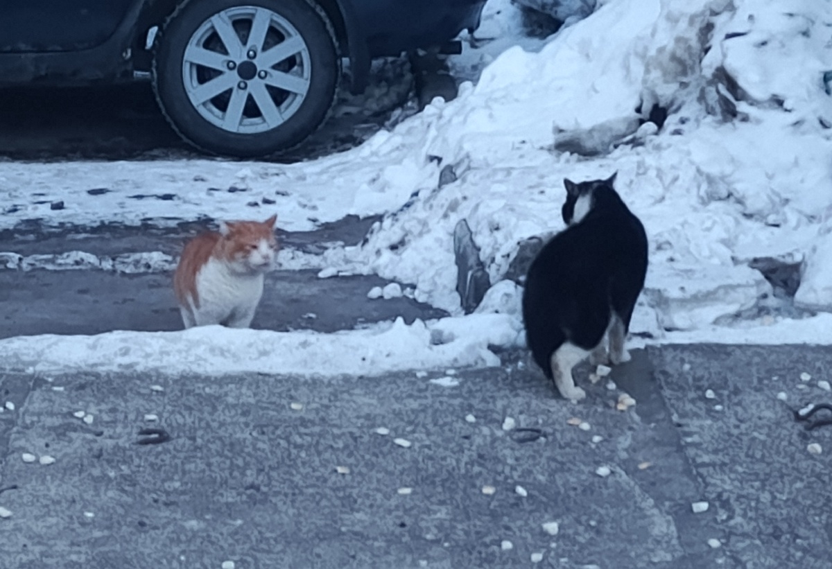 Фото автора статьи