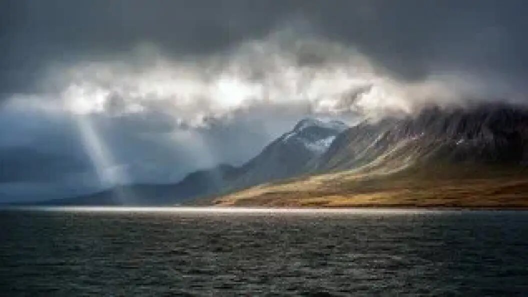    Фото: Царьград