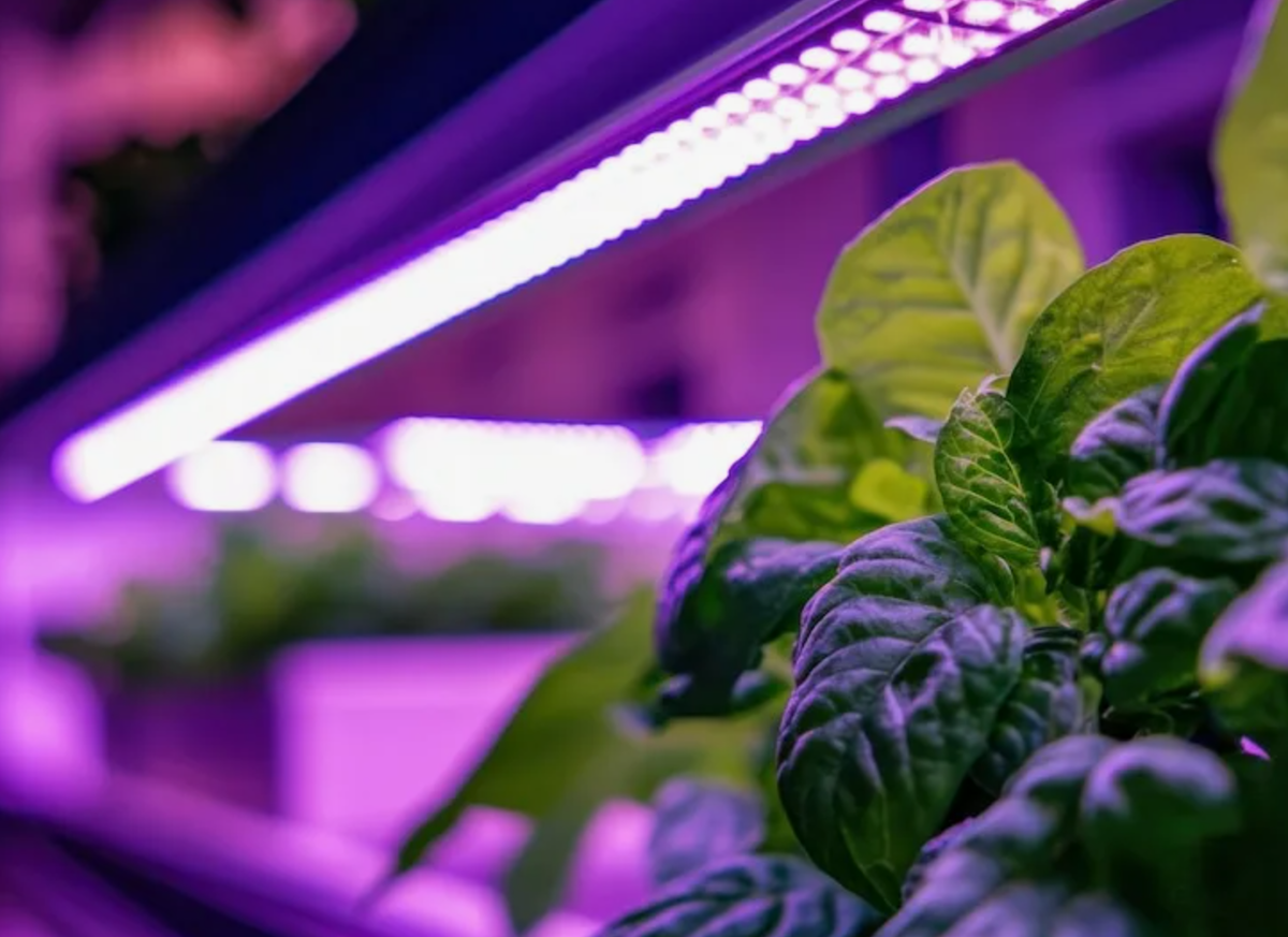 Источник фото: freepik.com