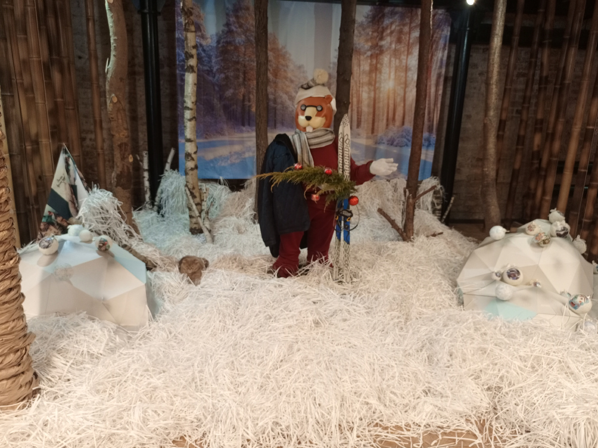 На этом фото, кстати, спрятался котик. Нашли? Молодцы! А вот публикации на Дзене спрятаны еще лучше! Фото автора. 