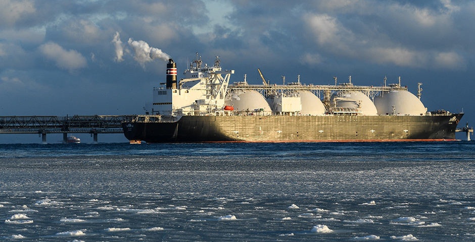 Фото: Николай Михальченко/ТАСС