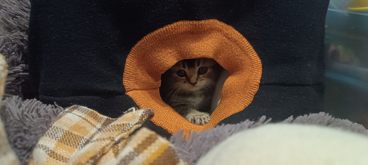 ААААААААААА😍😍🌹