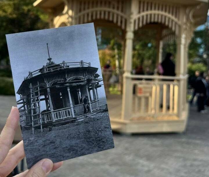Фото предоставлено Олесей Балтусовой
