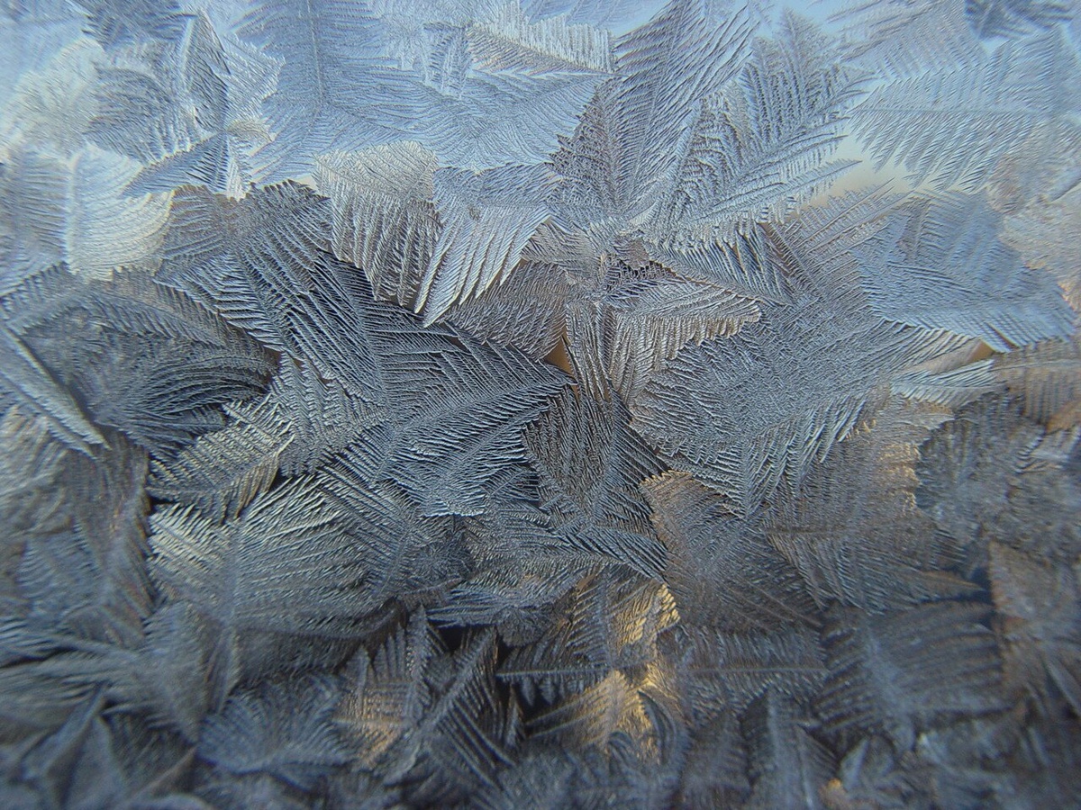 Ледяные кристаллы-узоры (макрофото из Викимедии)