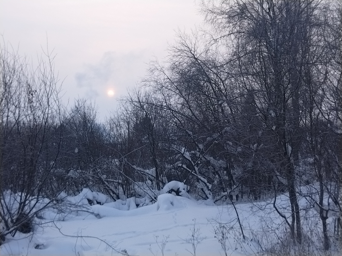 Утреннее солнце.