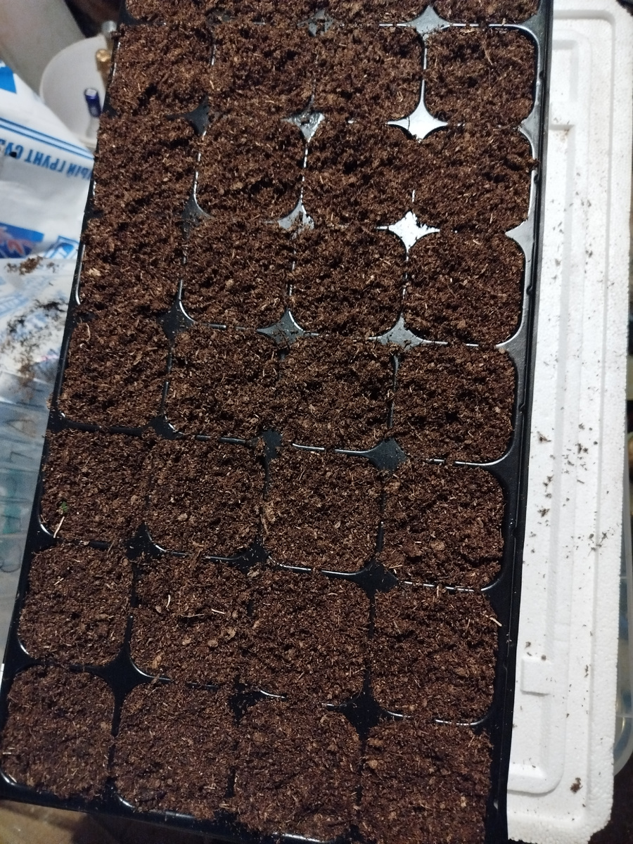 Кассета с торфом.