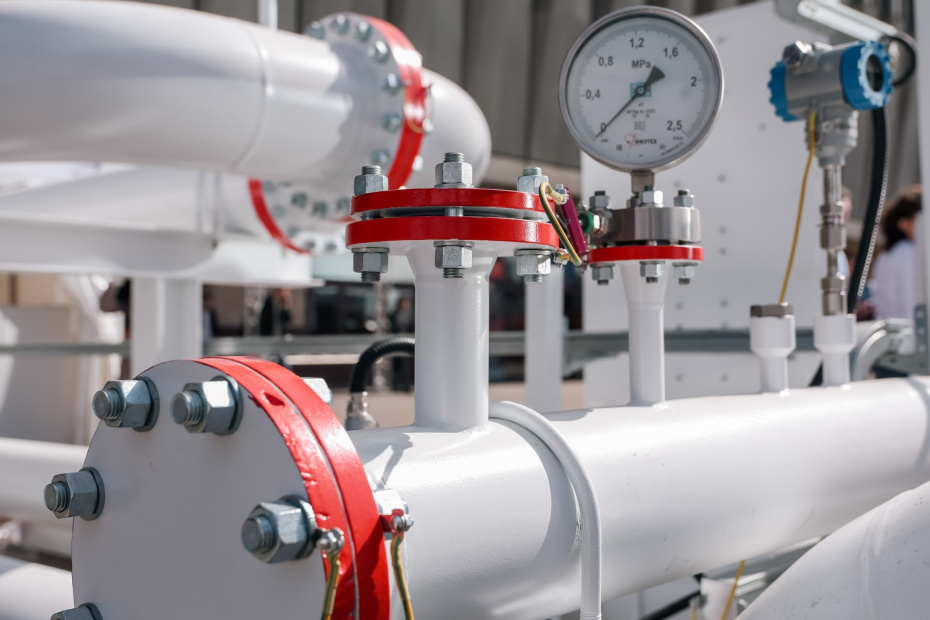    Roman Naumov/URA.RU/Global Look Press