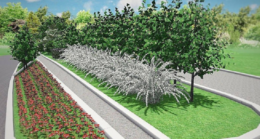    Фото: Пресс-служба МКУ «Зелёный город»